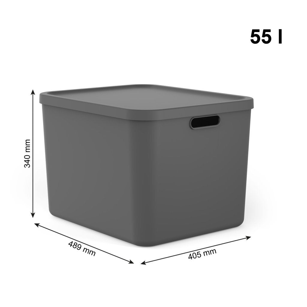Rotho Albula Multibox 55l Anthrazit