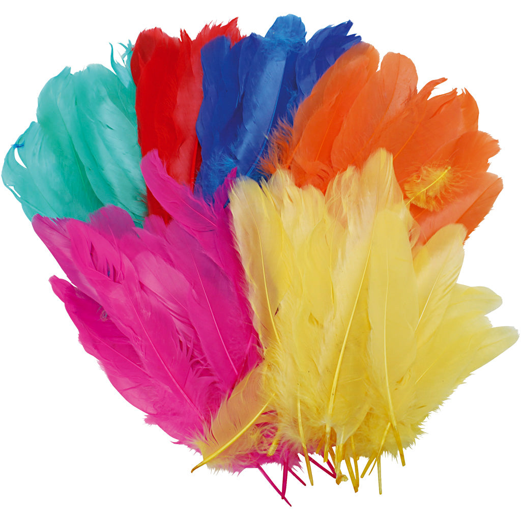 Creativ Company Federn, L: 8-14 cm, verschiedene Farben, 120 Stück 1 Beutel