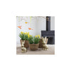 Countryfield Kunstpflanze Narzisse gelb L10B10H21cm