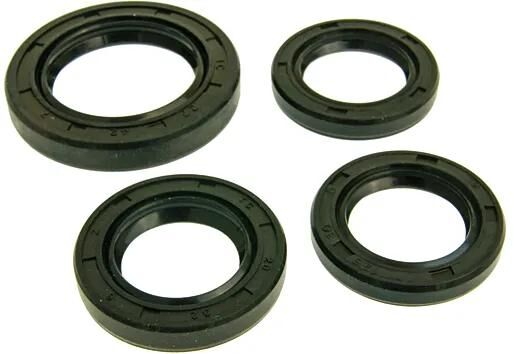 101 Oktanmotor-Ring-Set