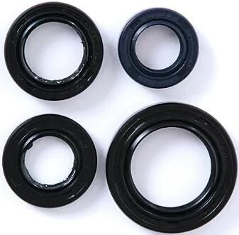 101 Oktanmotor-Ring-Set