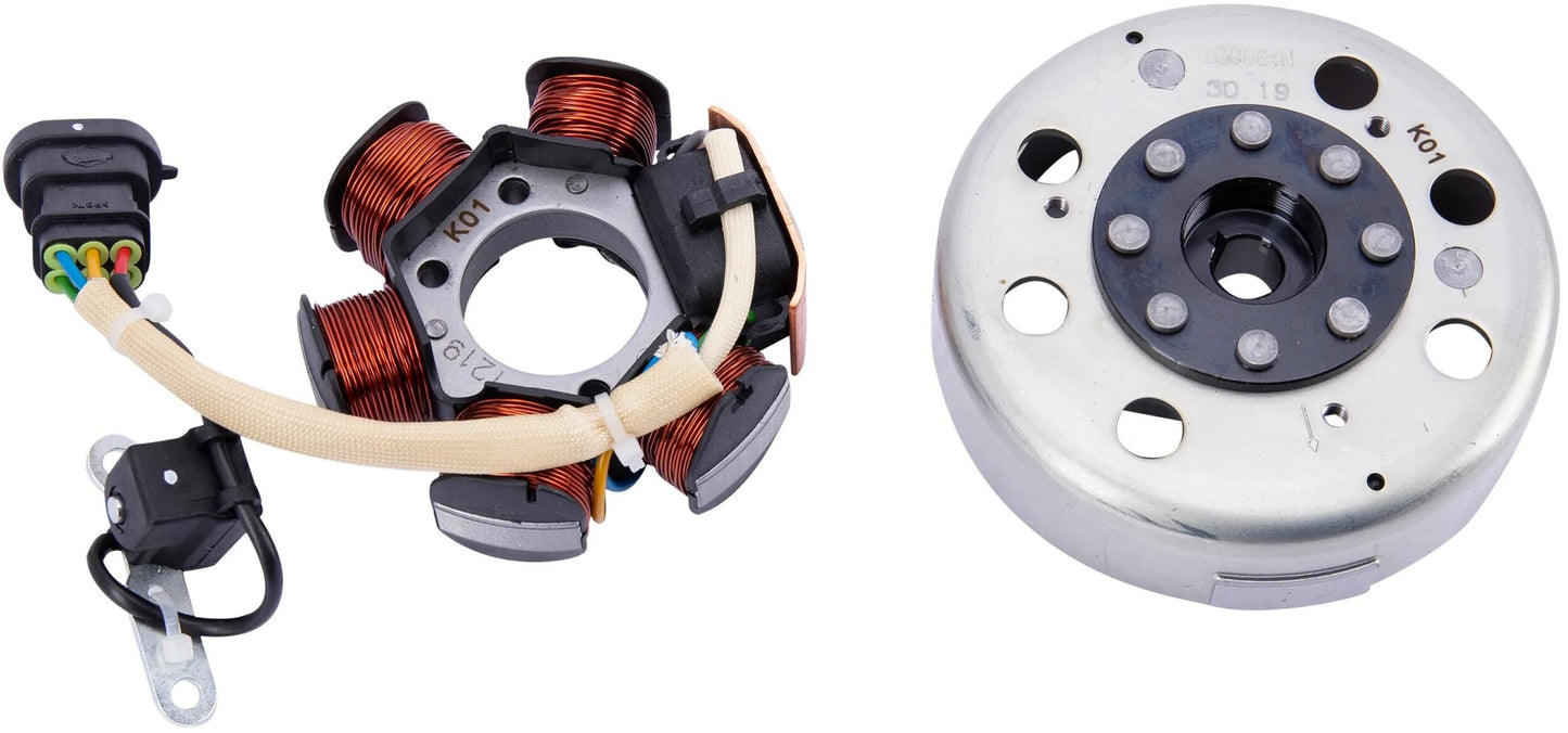 RMS Dynamo Lichtmaschine Piaggio 50 ccm