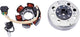 RMS Dynamo Lichtmaschine Piaggio 50 ccm