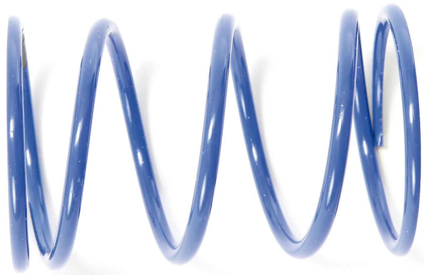Polini Druckfeder Kupplungsgegendruckfeder (Feder blau)