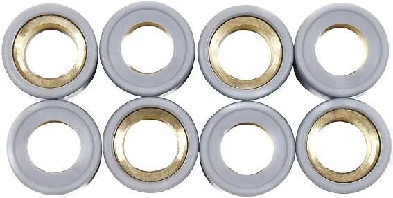 Demnächst erhältlich: Variatorgewicht-Rollenkernsatz RMS 20 x 12 mm, 13,5 g, 8-tlg.