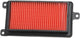 Tecnium tecnicum Luftfilter Luftfilter 16636