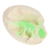 Fossil-Eier-Dinosaurus - afbeelding 4