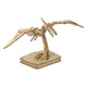 Holzbausatz Dino 3D Flugsaurier
