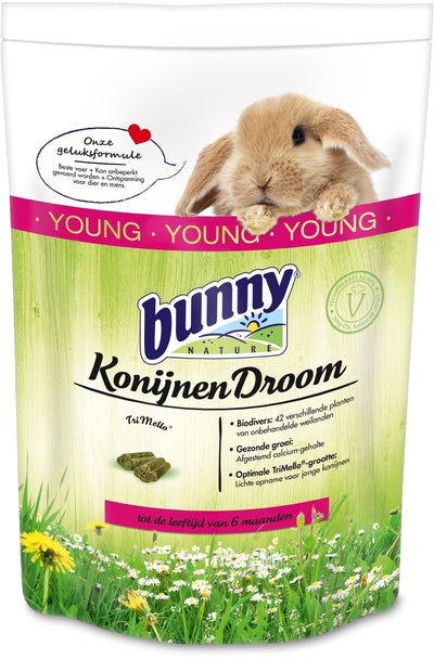 Bunny Nature Rabbit Dream Young jung