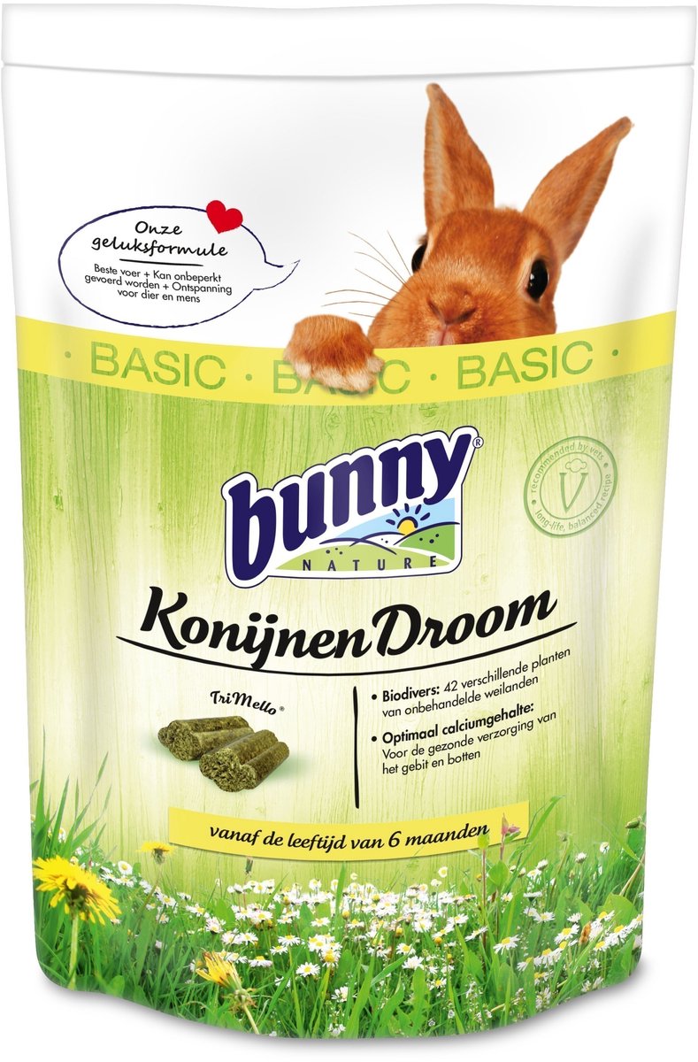 Bunny Nature Rabbit Dream Basic