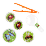 Bugs World Insektenbeobachtungssatz, 5dlg - afbeelding 1
