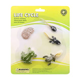 Cycplus Life Cycle Frog Play Figur Set Set - afbeelding 2