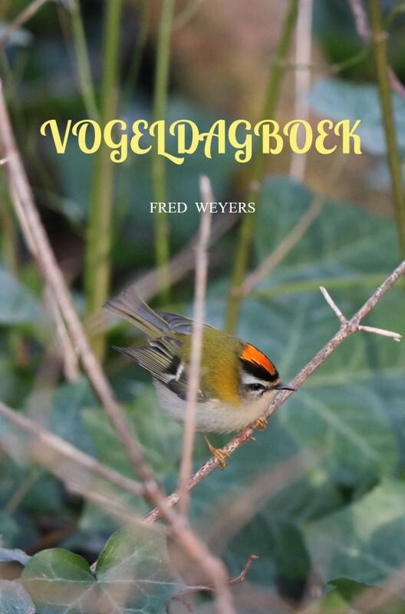 Vogeltagebuch 2024