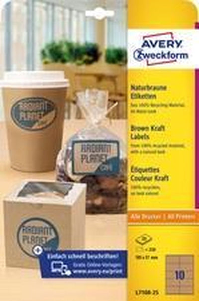 Etiketten avery l7109-25 210 x 297 mm