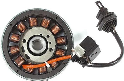 RMS Dynamo Lichtmaschine Piaggio Leader 50cc