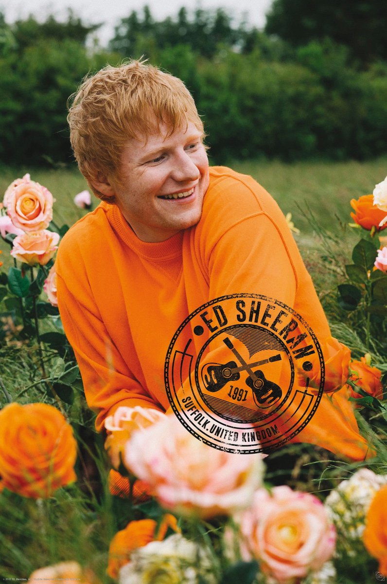 Abystyle Poster Ed Sheeran – Rosenfeld 61x91,5cm
