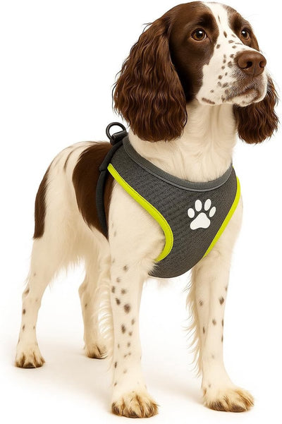 Flamingo Hundegeschirr – Hundegeschirr – Hundegeschirr Anti-Pull – Hundegeschirre – Hundegeschirr Anti-Pull – Step Go Tasha – Grau – Größe L – A: 58 cm B: 75–95 cm x 20 mm x 5 mm