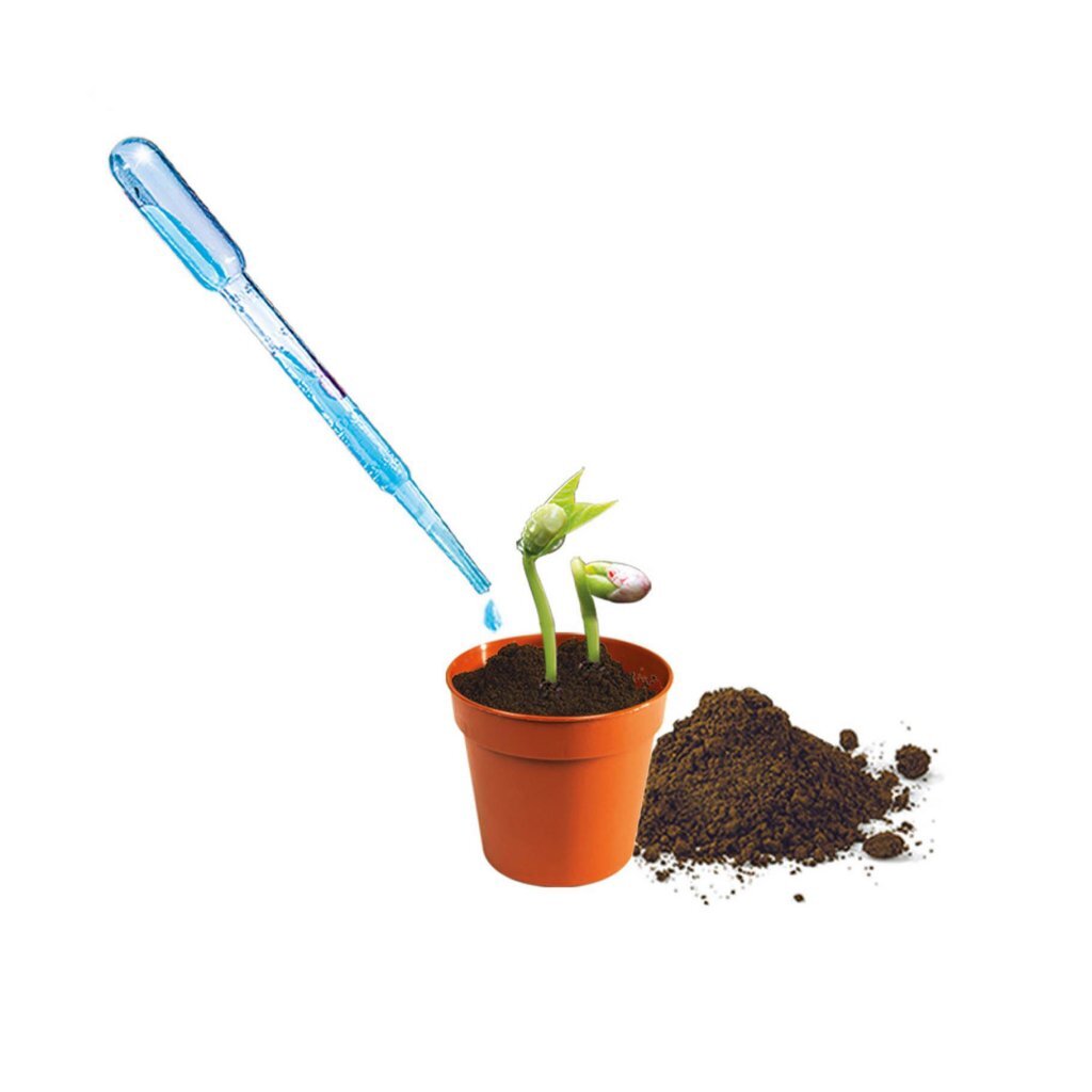 Clementoni Science and Game - Mini Gemüsegarten