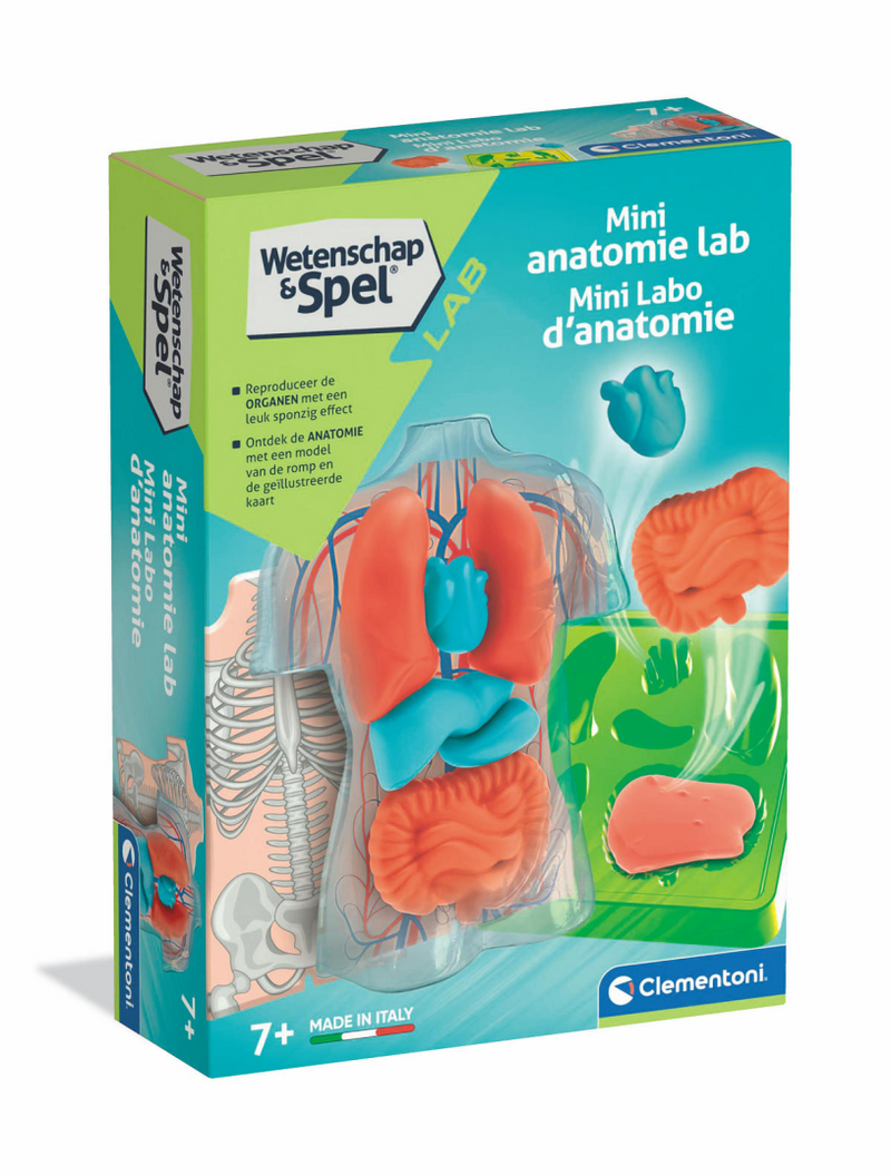 Clementoni Science Game - Quadratische Anatomie