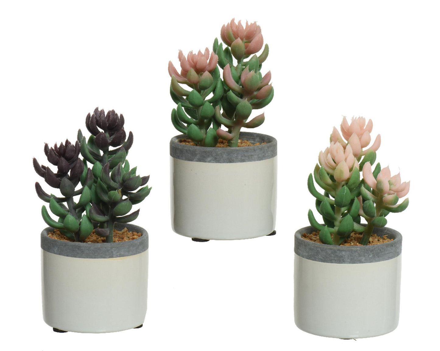 Decoris Kunstpflanze Sukkulente im Keramiktopf H14