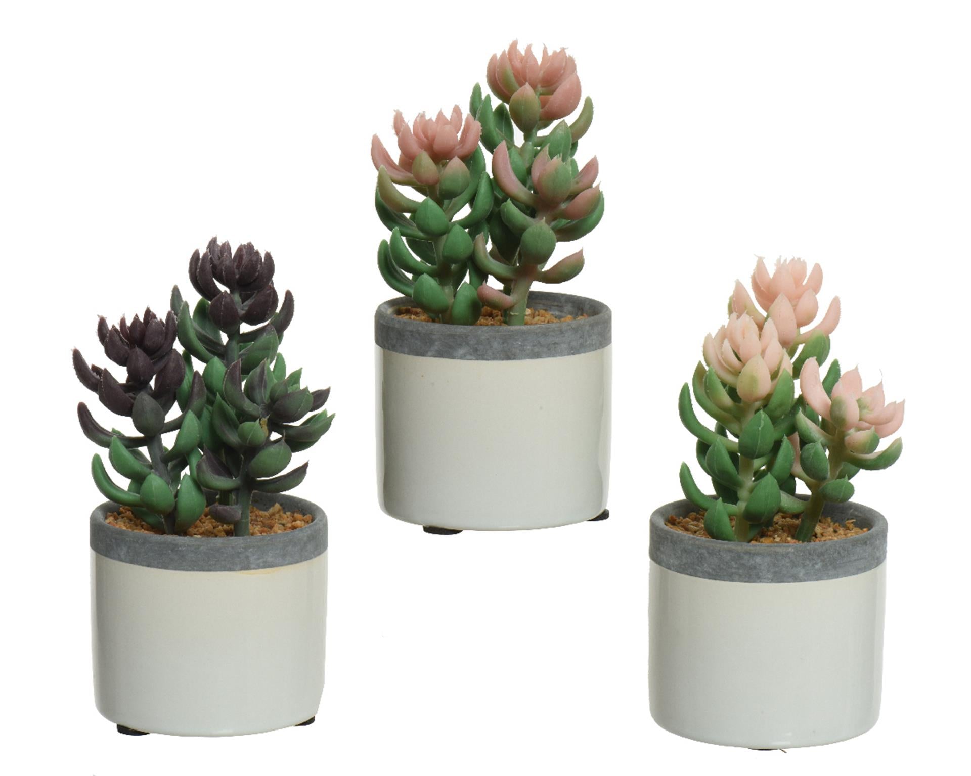 Decoris Kunstpflanze Sukkulente im Keramiktopf H14