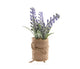 Decoris Kunstpflanze Lavendel H12cm