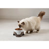 Bama Pet Feeding Bin Stapelable 19x10-13 cm Assorti