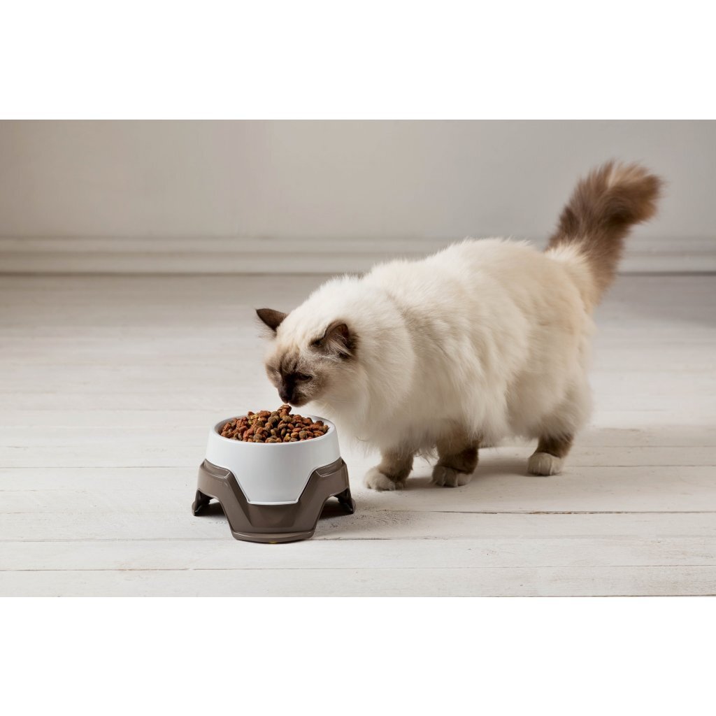 Bama Pet Feeding Bin Stapelable 19x10-13 cm Assorti