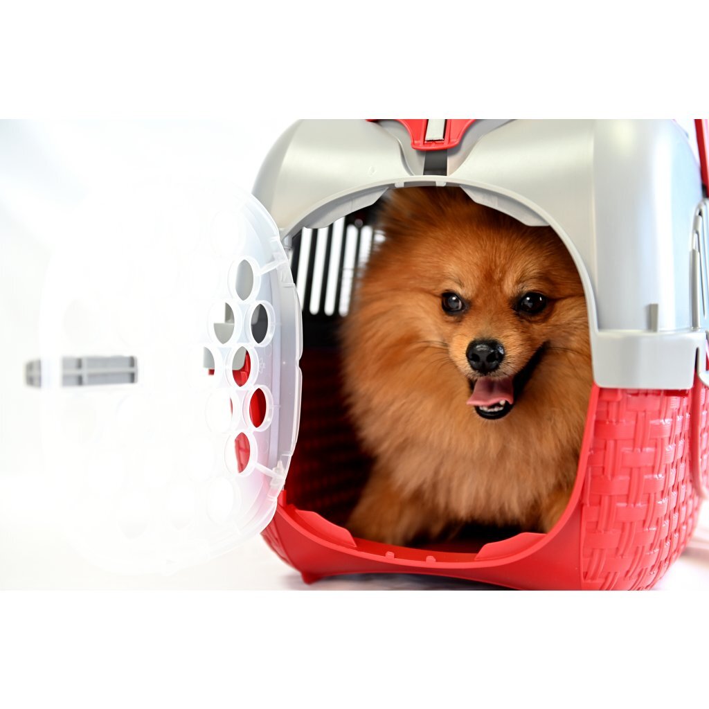 BAMA PET Transportbox 52x33x34 cm Rot Silber