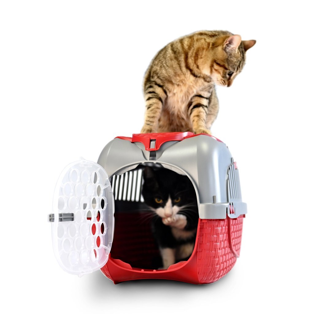 BAMA PET Transportbox 52x33x34 cm Rot Silber