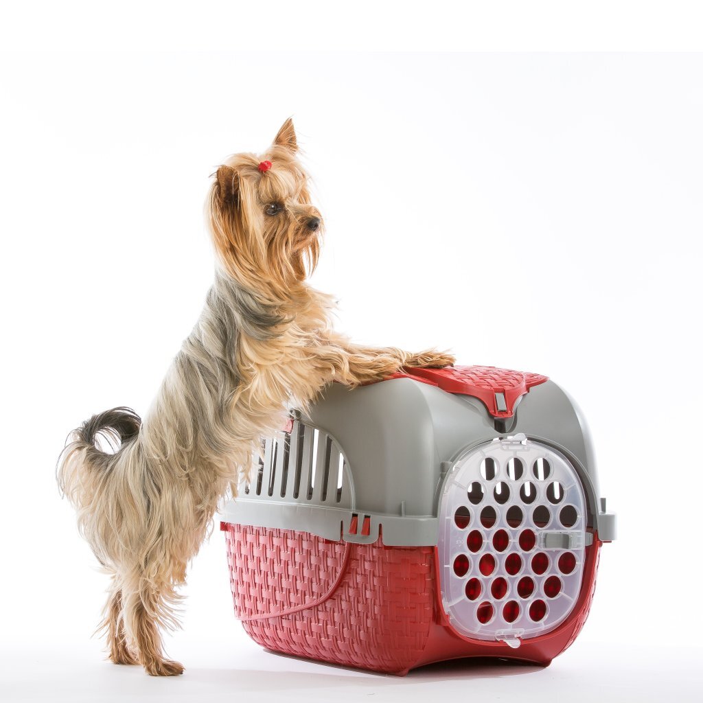 BAMA PET Transportbox 59x38x37 cm Rot Silber