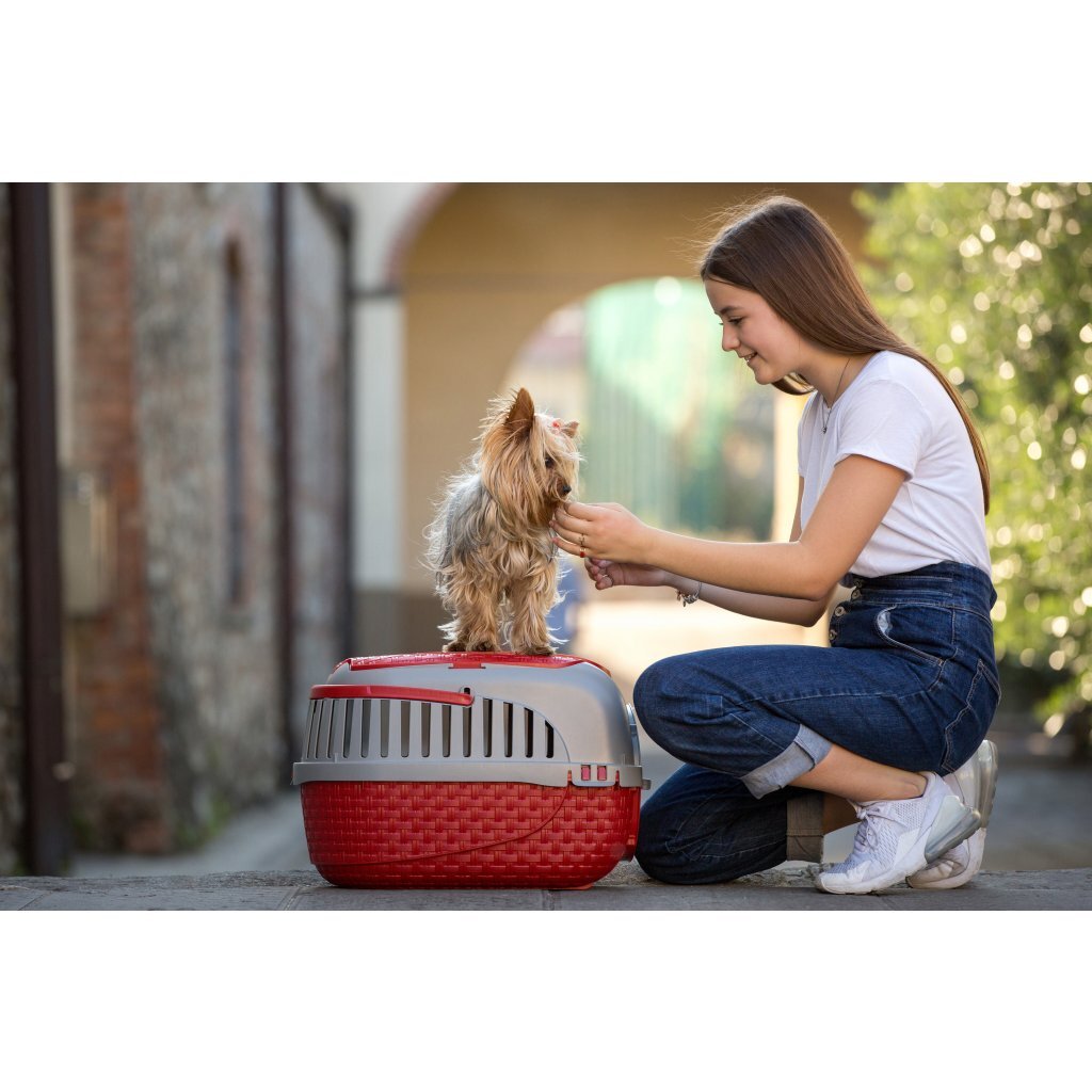 BAMA PET Transportbox 59x38x37 cm Rot Silber