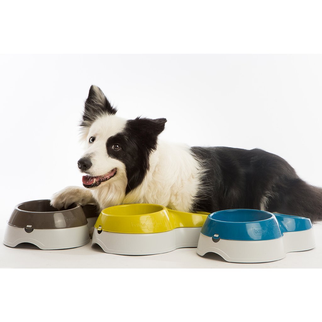 BAMA CAP Feeder mit Wasserreservoir 33x20x9 cm Assorti
