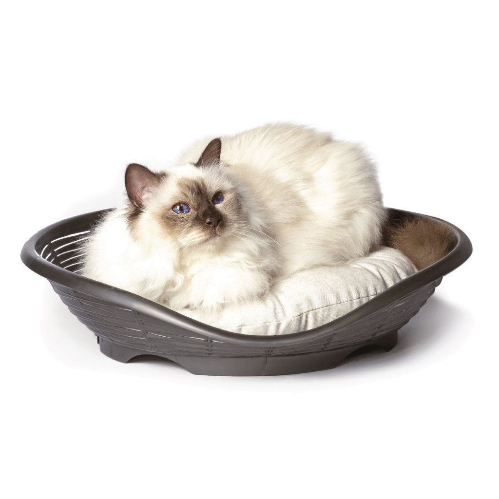Bama Petha Basket 48x46x11 cm Anthrazit