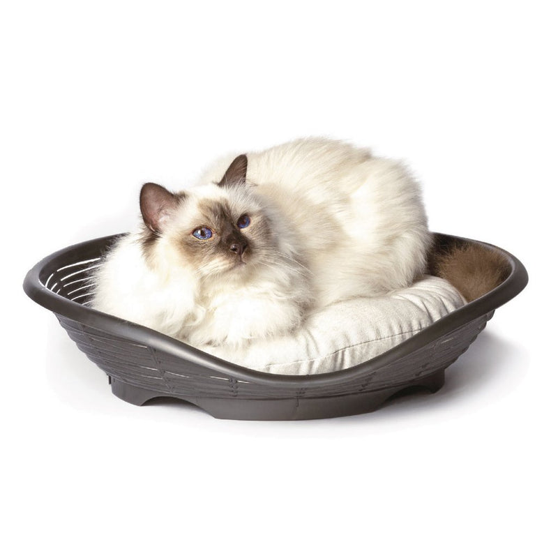Bama Petha Basket 48x46x11 cm Anthrazit