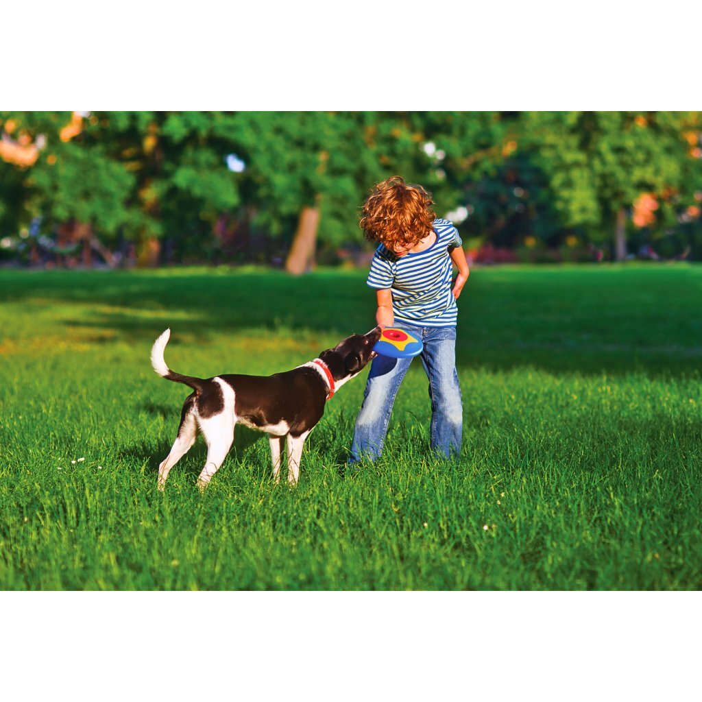 BAMA PET Trotto -Disk -Hundespielzeug 24,5x4,5 cm blau gelbrot