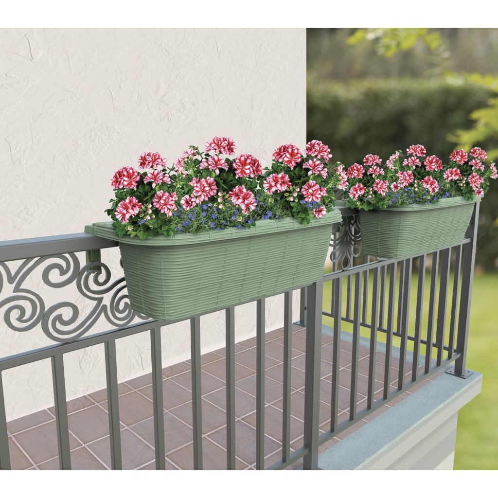 Bama Fioriera Bloem-Balkonbak 60x20x18,5 cm Salbeigros
