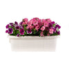 Bama Fioriera Bloem-Balkonbak 60x20x18,5 cm Weiß