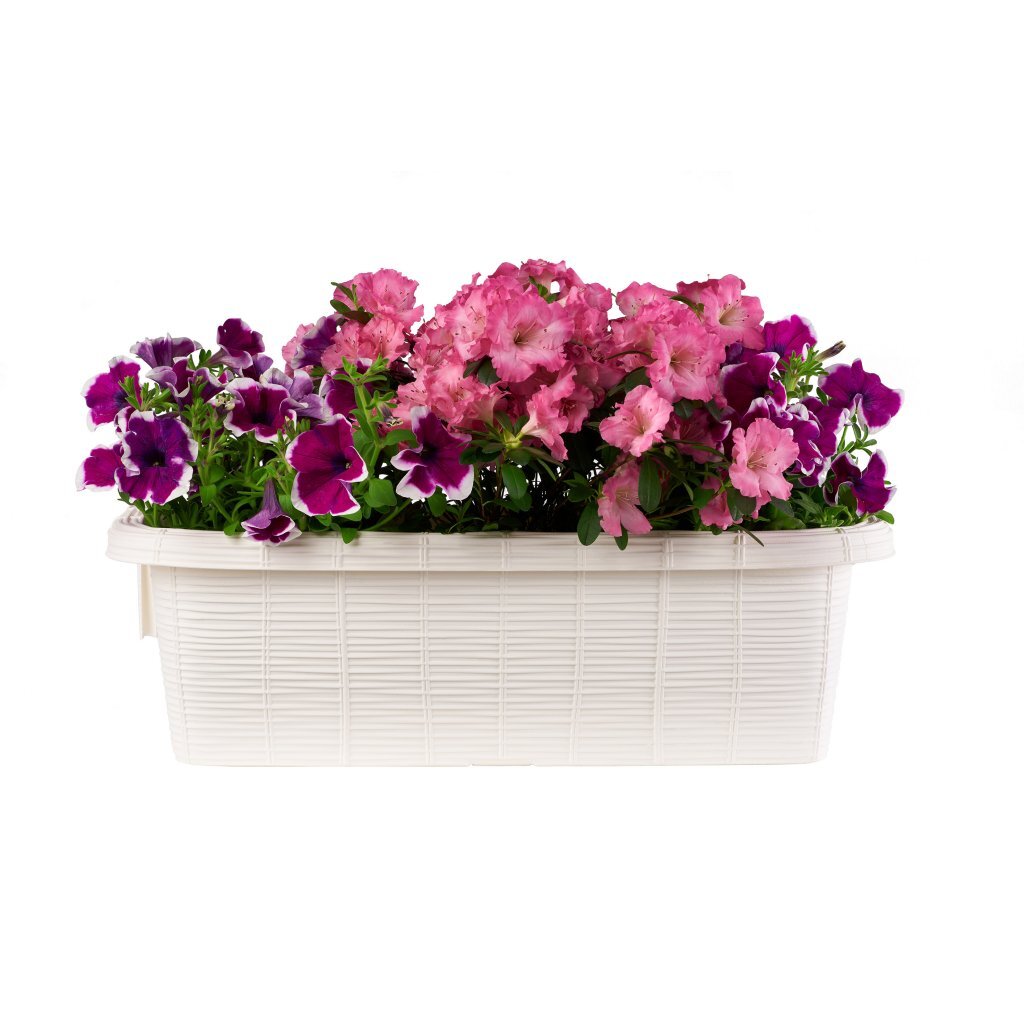 Bama Fioriera Bloem-Balkonbak 60x20x18,5 cm Weiß