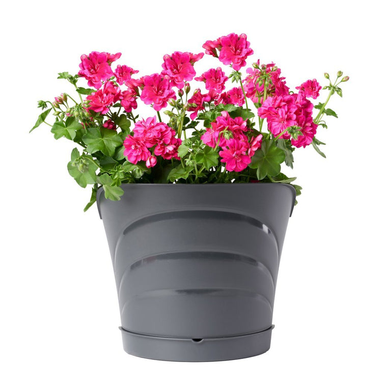 Bama Tulipano Blumenpot 5L 34,5 x 19 x 30 cm 4 Stück Anthrazit