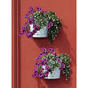Bama Tulipano Blumenpot 5L 34,5 x 19 x 30 cm 4 Stück Weiß weiß