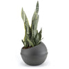 Bama Sfera Bloempot 23L 40,5x32 cm Anthrazit