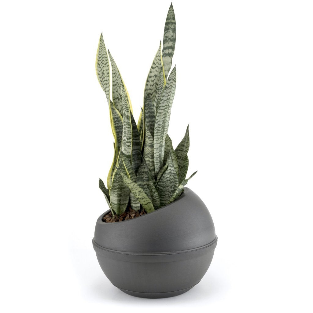 Bama Sfera Bloempot 23L 40,5x32 cm Anthrazit