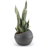 Bama Sfera Bloempot 23L 40,5x32 cm Anthrazit - afbeelding 2
