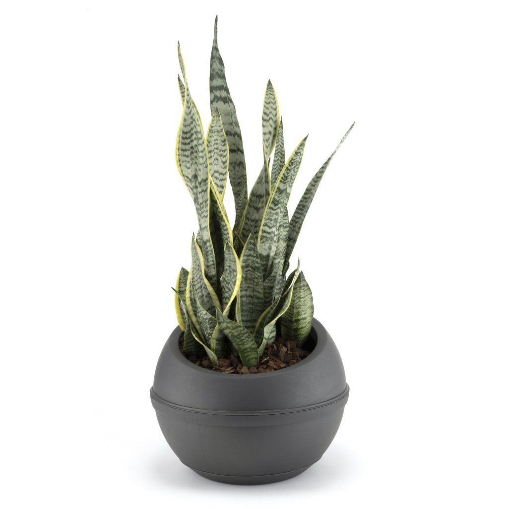 Bama Sfera Bloempot 23L 40,5x32 cm Anthrazit