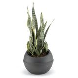 Bama Sfera Bloempot 23L 40,5x32 cm Anthrazit - afbeelding 3
