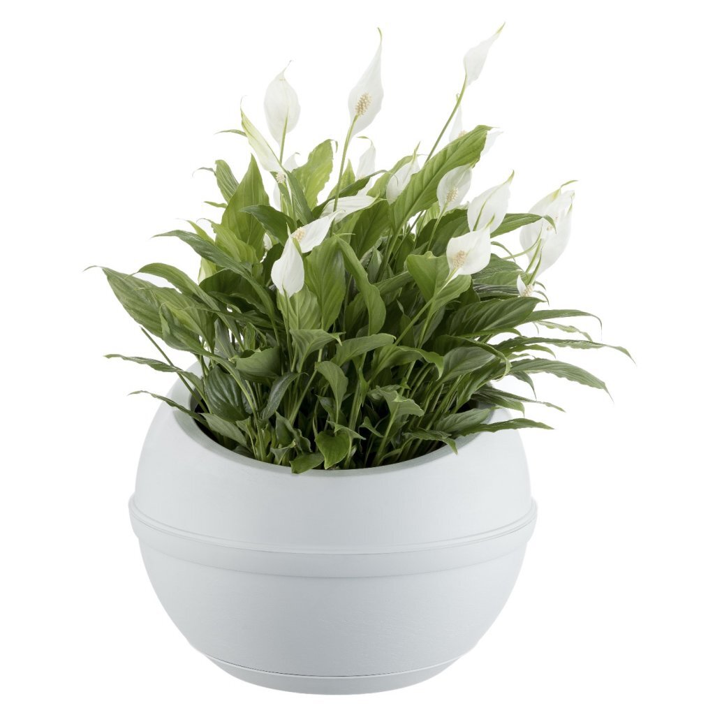 Bama Sfera Bloempot 23L 40,5x32 cm Weiß