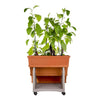 Bama Orto di Kit Pflanzer 80x74x73 cm Terrakotta