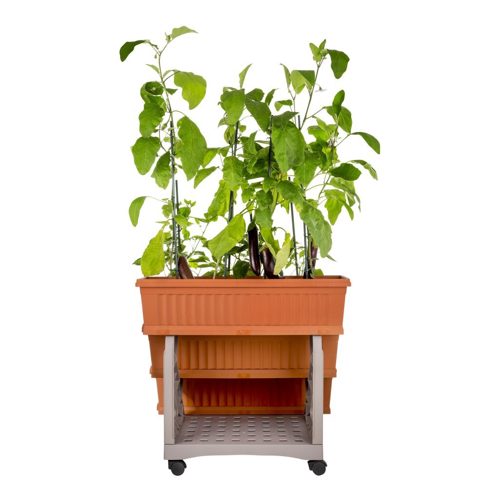 Bama Orto di Kit Pflanzer 80x74x73 cm Terrakotta