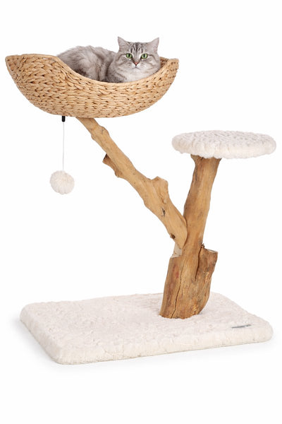Kratzbaum Flamingo – Designlinie Carlito – Kratzbaum für Katzen – Kratzmöbel – Design-Kratzbaum – 74,5x42x78 cm – Beige